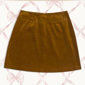 Vintage express skirt